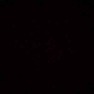 Meet your Posher, Flavia